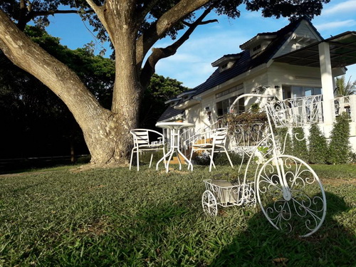 ที่ดินกิจการรีสอร์ท 356 ตร.ว. ต. ไชยสถาน อ.สารภี จ.เชียงใหม่