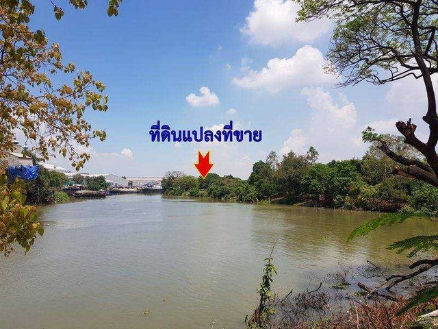 ที่ดินเปล่าติดแม่น้ำป่าสัก พื้นที่ 2-2-17 ไร่ ต.ปากจั่น อ.นครหลวง จ.พระนครศรีอยุธยา