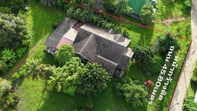 [ขาย] บ้านมือสอง + ที่ดิน 753 ตรว. | สมอแข พิษณุโลก | ติดถนน 2 ด้าน | หัวมุม | 5.5 ล้าน