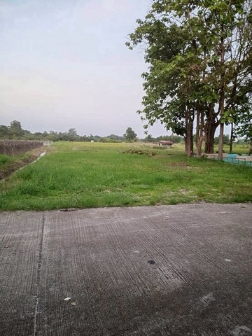 ที่ดินจัดสรร ทำเลดี  โซนสีเหลือง หางดง              