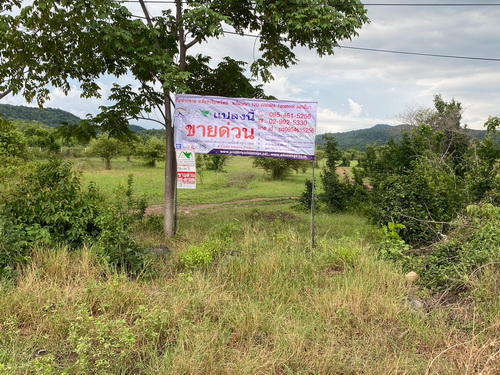 2506ACL2027ที่ดิน(นส.3ก) 44 ไร่ ทำเลดี หน้ากว้าง 78 เมตร ลึก 909 เมตร ติดถนนสุรนารายณ์ เหมาะทำเกษตรกรรม ทำฟาร์ม โครงการที่อยู่อาศัย ปั้มน้ำมัน โกดังสินค้า ฯลฯ2506ACL2027 Land for sale in Lopburi, 44 rai, good location, width 78 meters, length 909 meters.Suitable for agriculture, farming, housing projects, gas stations, warehouses, etc.ที่ตั้งทรัพย์ : ถ.สุรนารายณ์ ต.ม่วงค่อม อ.ชัยบาดาล จ.ลพบุรี 15230Property Location: Suranarai Road, Muang Khom Subdistrict, Chai Badan District, Lopburi Province 15230หน้าที่ดินอยู่ทางทิศ ใต้The land face is on the south.ลิงค์ทรัพย์ / Property link: https:/