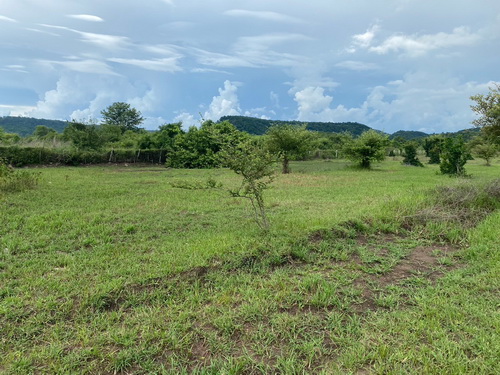 ที่ดิน(นส.3ก) 44 ไร่ ต.ม่วงค่อม อ.ชัยบาดาล จ.ลพบุรี