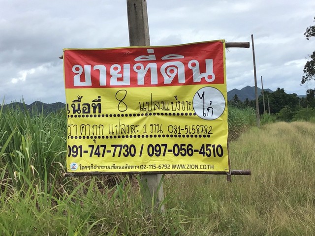 ขายที่ดิน 8 แปลง แปลงละ 1 งาน เขากระปุก  อ.ท่ายาง จ.เพชรบุรี  ZP191  