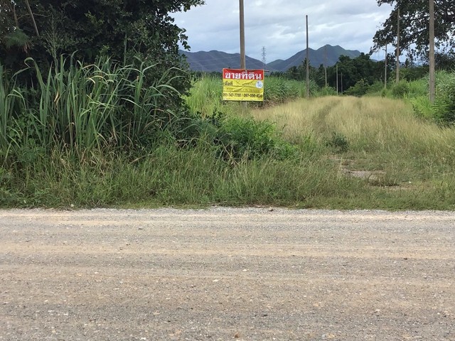 ขายที่ดิน 8 แปลง แปลงละ 1 งาน เขากระปุก  อ.ท่ายาง จ.เพชรบุรี  ZP191