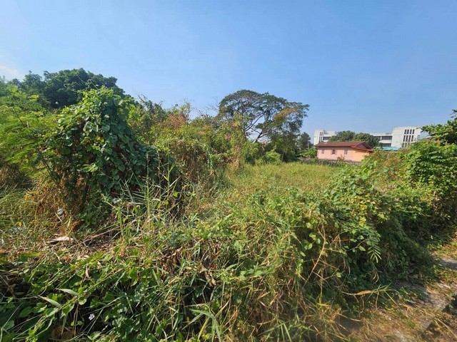 ขายที่ดินลาดพร้าว101 ซอย7ขายที่ลาดพร้าว ขายที่บางกะปิห่าง mrt ลาดพร้าว 101 700 เมตรซอยลาดพร้าว101 แยก7 บางกะปิรายละเอียด- เนื้อที่ 2 ไร่ 3 งาน 46 ตารางวา- ผังเมืองสีเหลืองสถานที่ใกล้เคียง- ตลาดนครไท- โรงพยาบาลเวชธานี- เดอะมอลล์บางกะปิ- Big C ลาดพร้าวขายตารางวาละ 96,000 บาทรวม 110,016,000 บาทสอบถามเพิ่มเติม นัดดูบ้านและที่ดิน ติดต่อ Tel : 062-5566954 (คุณปุ้ย) | Line ID : 0616649897_____________________________________#ที่ดินลาดพร้าว #ที