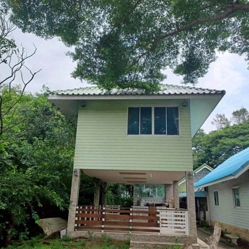 PZ1154 -ขายที่ดิน พร้อมบ้านสวน 3 หลัง เนื้อที่ 200 ตรว. ซอยลำลูกกา 151  ใกล้ถนนวงแหวนรอบนอกกรุงเทพมหานคร อำเภอลำลูกกา จังหวัดปทุมธานี