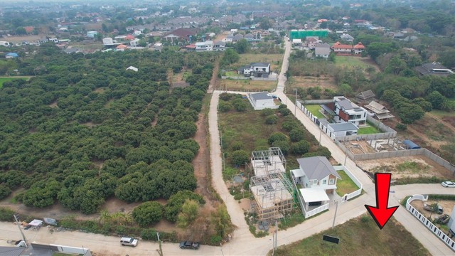 ขายที่ดิน 100 ตรวา สันผีเสื้อ ทำเลดี ใกล้เมืองเชียงใหม่