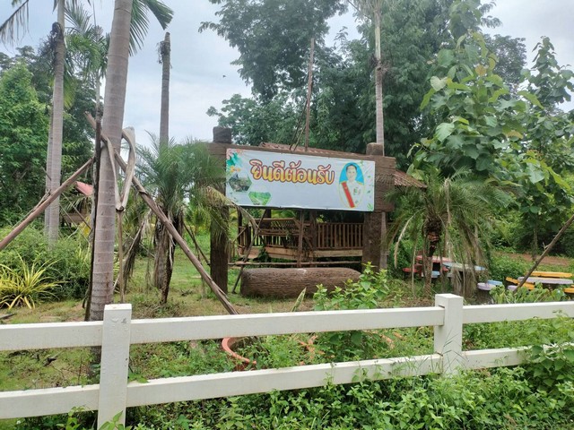 [ขาย] สวนมะพร้าว 27 ไร่ 3 งาน 50 ตร.วา | มะพร้าว 700 ต้น | มีบ่อน้ำ-คลอง | สกลนคร | 8 ล้าน