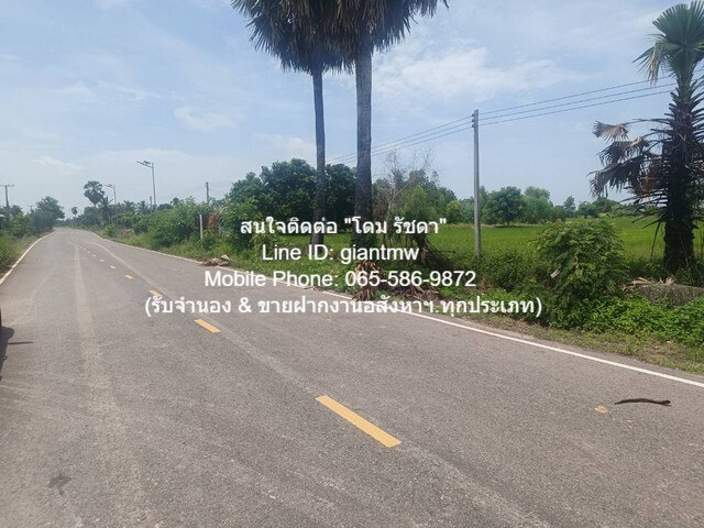 พื้นที่ดิน ขายที่ดินทุ่งนาแปลงใหญ่ติดถนนใหญ่ อ.วังทอง จ.พิษณุโลก 53-3-98 ไร่, 11,878,900 บาท   พื้นที่เท่ากับ 53 ไร่ 3 งาน 98 Square Wah 11878900 THB ใกล้ สวนน้ำรุ่งวาสนา 4 กม. หรือ 355 กม. จากกรุงเทพมหานคร ราคาสุดคุ้ม เป็นที่ดินทรงสี่เหลี่ยมผืนผ้าแป