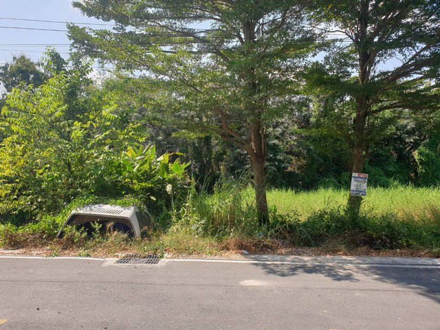 พื้นที่ดิน - 10 ตร.วา 0 NGAN 0 Rai  ใกล้กับ – บิ๊กซี  – โลตัส  – ดูโฮม  – วัดอัยยิการาม  – ตลาดต้นไม้ คลอง 9  – โรงเรียนสารสาสน์วิเทศรังสิต คลอง 7  – โรงเรียนจุฑารัตน์วิทยา  – โรงเรียนวัดอัยยิการาม  – โรงพยาบาลธัญบุรี  – โรงพยาบาลคลองหลวง  – โรงพยาบา