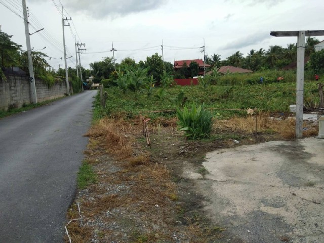 ขายที่ดิน แปลงสวย เนื้อที่ 2 ไร่ ปลูกมะพร้าวน้ำหอม ท่าตลาด สามพราน นครปฐม