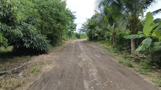 ขายที่ดินติดแม่น้ำปิง วิวภูเขา น้ำไม่ท่วม ทำเลสงบ เหมาะสร้างบ้านหรือรีสอร์ท