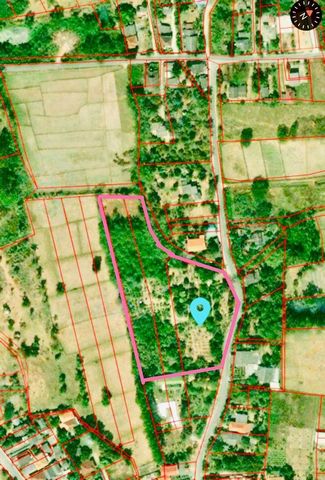 ขายด่วน! ราคาสุดคุ้ม เพียงตรว.ละ 3,500 บาท ที่สวนไม้ผลผสมผสาน สันกำแพง เนื้อที่ 8-2-10 ไร่  ทำเลดี มีศักยภาพ อยู่ในชุมชน ปลอดภัย ไร้มลพิษ