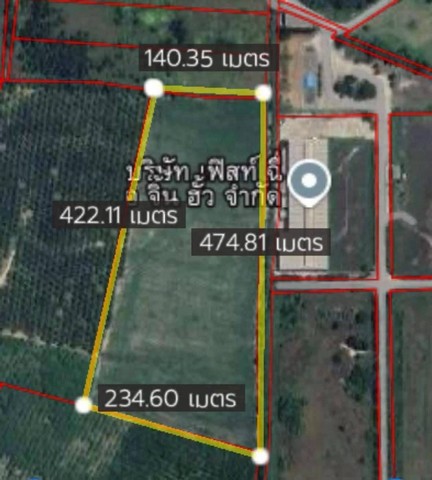 ขายที่ดินบ้านบึงชลบุรี ขายที่ดิน 49-3-38.1 ไร่ผัง สีเหลืองอ่อนที่ดินรูปแปลงสวย พื้นเสมอ ไม่ต้องถม