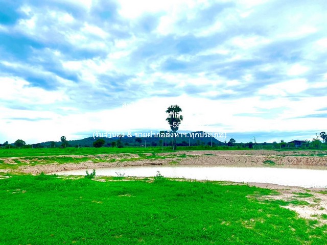 พื้นที่ดิน ขายที่ดินจัดสรรแปลงใหญ่ พร้อมทะเลสาบ (ติดถนนหลัก และติดถนนรอง) อู่ทอง จ.สุพรรณบุรี 60-3-0 ไร่ ราคา 23 ล้าน 60 ไร่ 0 งาน 30 ตาราง-วา  ใกล้กับ เซ็นทรัล เวสต์เกต 120 กม. (1.5 ชั่วโมง) NICE! สุพรรณบุรี   