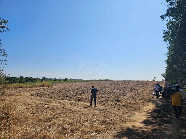 ขายที่ดิน 43 ไร่ 1 งาน ถนนสาย 304 แปลงสี่เหลี่ยมเนินหลังเต่า อำเภอพนมสารคาม จังหวัดฉะเชิงเทรา