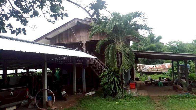 PZ1051 : ขาย ที่ดินพร้อมบ้านไม้สักยกพื้นสูง 132 ตรว.   ใกล้สำนักงานเกษตรอำเภอเสริมงาม เพียง 500 เมตร ตำลลทุ่งงาม  อำเภอเสริมงาม จังหวัดลำปาง