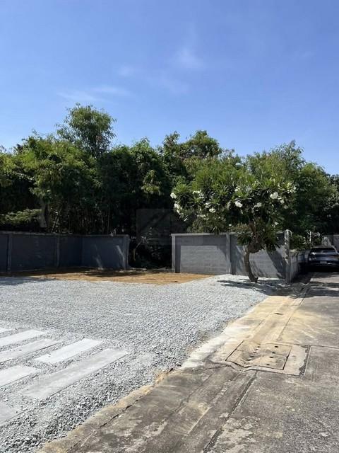 ขายที่ดินเปล่า 51 ตรว. หัวมุมถนน ถมแล้ว ถ.สุขุมวิท103 ซ.อุดมสุข50 เหมาะสร้างบ้าน