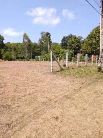  ที่ดินเปล่า ขนาด 1 ไร่   ที่ถมแล้วพร้อมปลูกสร้าง  ต.ชากพง อ.แกลง จ.ระยอง 