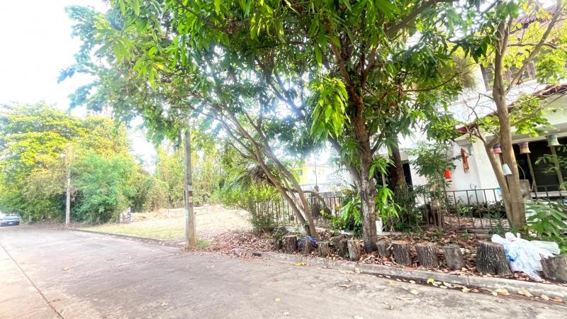 ขายที่ดินเปล่า 100 ตรว. ในหมู่บ้าน เจ.ซี.การ์เด้นวิลล์ ใกล้ถนนใหญ่ เชียงใหม่ - ดอยสะเก็ด  ตำบลสันนาเม็ง อำเภอสันทราย จังหวัดเชียงใ