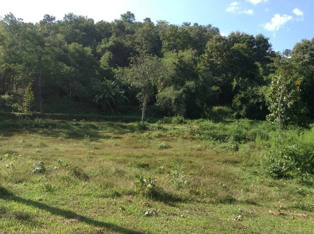 ขายที่ดินทำเลดี ติดถนน บ้านปง หางดง เชียงใหม่ ใกล้สิ่งอำนวยความสะดวก