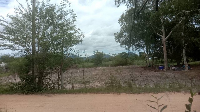 ขายถูก ที่ดินเปล่าถมแล้ว 300 ตร.ว. ตรงข้าม ม.ศิลปากร  สามพระยา ชะอำ เพชรบุรึ