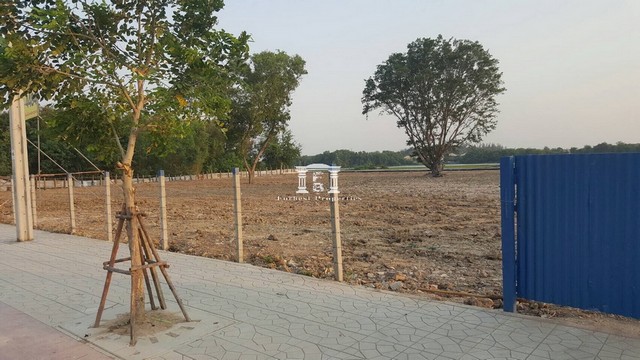 ขาย ขายที่ดิน ติดถนนเทพรักษ์ เนื้อที่ 2-2-36 ไร่ ใกล้ BTS สายหยุด, ทางด่วน, แมคโคร เทพรักษ์, ตลาดยิ่งเจริญ