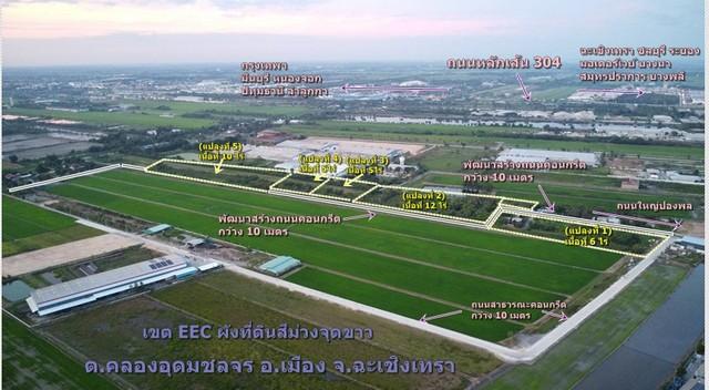 ขายที่ดิน เนื้อที่ 5-40 ไร่ ถมที่ดินเสมอถนนให้ฟรี ถ.คลองอุดมชลจร อ.ฉะเชิงเทรา ( เขต EEC )