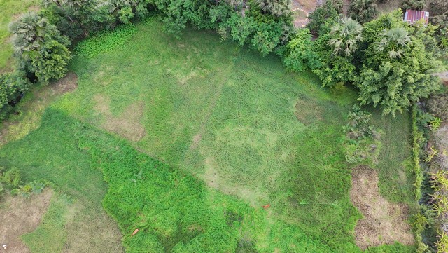 ขายที่ดินเชียงใหม่ ขาย 2 แปลง 1 ไร่กับ 200 ตรว ซอยข้างโรงเรียนเวียงท่ากาน ตำบล บ้านกลาง อำเภอสันป่าตอง