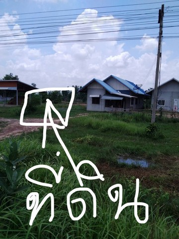 ขายถูก ที่ดิน เนื้อที่ 1 ไร่ ตำบลวังไชย อำเภอบรบือ จังหวัดมหาสารคาม
