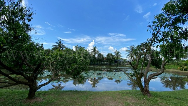 บ้านเดี่ยว ชั้นเดียว พร้อมที่ดิน 2-3-97 ไร่ วังกระโจม - นครนายก