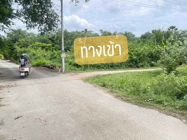 ขายที่ดินหนองตำลึง เนื้อที่  30  ตรว  อยู่ในแหล่งชุมนุม เหมาะสำหรับท่านที่มองหาที่ดินปลูกบ้านอยู่ในแหล่งชุมชน  
