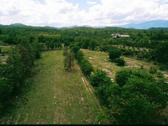 ด่วน! แปลงสุดท้าย 650,000 บาท ที่ดินสวย 125 ตรว. #น้ำแพร่ #หางดง #เหมาะสำหรับสร้างบ้านขาย หรือร้านกาแฟ ตลาด ฯลฯ​ #ถนนคอนกรีต