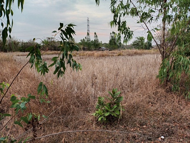 ขายที่ดินตรงข้ามราชภัฏสามพร้าว อำเภอเมือง จังหวัดอุดรธานี