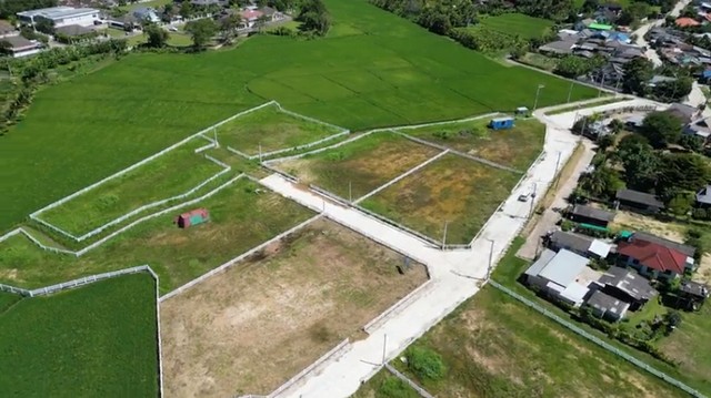 ขายที่ดินเปล่า แม่ริม ห้วยทราย เชียงใหม่  วิวเขา  ใกล้โรงเรียนเปรม