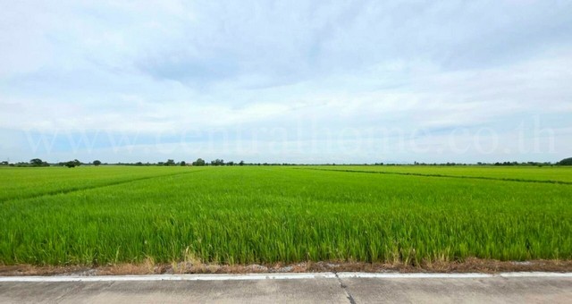 ที่ดินเปล่า 6-1-89 ไร่ คลองนิยมยาตรา บางบ่อ สมุทรปราการ ทำเลดี