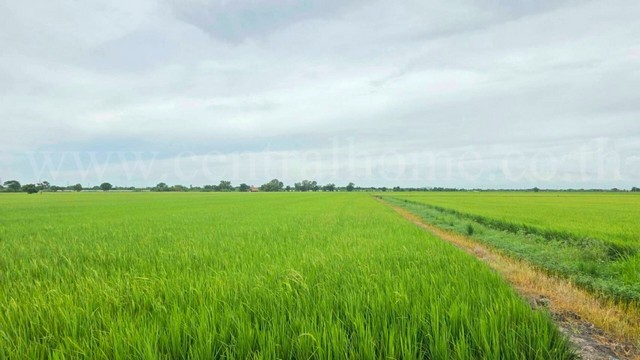 ที่ดินเปล่า 6-1-89 ไร่ คลองนิยมยาตรา บางบ่อ สมุทรปราการ ทำเลดี