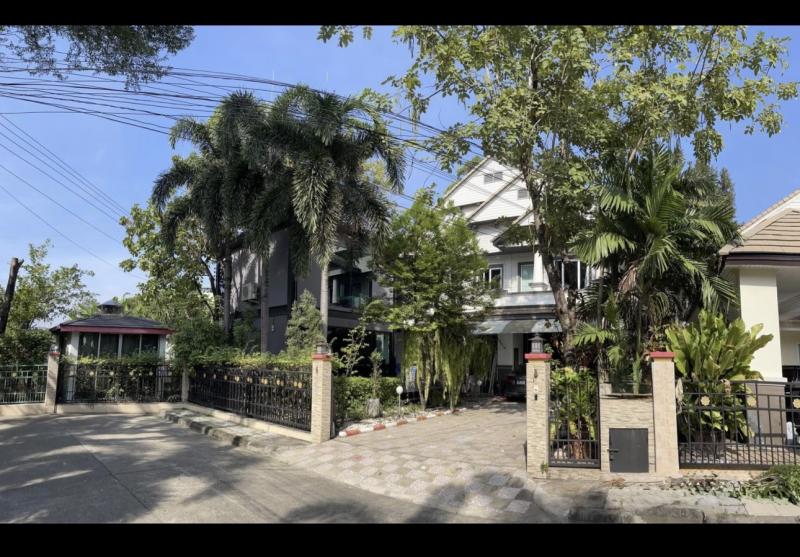 ให้เช่าบ้านเดี่ยวหรู 136.9 ตร.วา พัฒนาการ 30 | ทำเลเยี่ยม พื้นที่กว้าง ฟังก์ชันครบ! ???? บ้านขนาดใหญ่ บรรยากาศดี ราคาคุ้มค่าในทำเลสุดฮ็อต