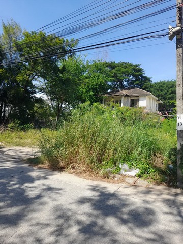 ขาย ที่ดินถนนบางนา-ตราด กม.10 (หน้าหมู่บ้านวินด์มิลล์) ติดทางเข้าหมู่บ้านวินด์มิลล์, ใกล้ หมู่บ้านวินด์มิลล์, สนามบินสุวรรณภูมิ, เ