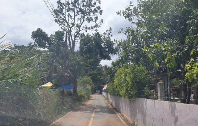 ที่ดินพร้อมบ้านพักอาศัย 7 ไร่  เขาใหญ่  ร่มรื่นเป็นส่วนตัว