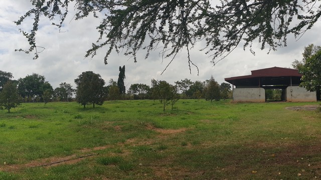 ที่ดินพร้อมบ้านพักอาศัย 7 ไร่  เขาใหญ่  ร่มรื่นเป็นส่วนตัว