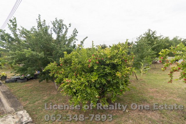 ขายที่ดินถมแล้ว แบ่งขาย 200 ตร.ว. หลังโครงการสบายสบาย โมเดิร์นทาวน์โฮม คลองสวนพลู – อยุธยา