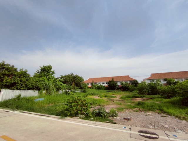 ที่ดิน ที่ดินเปล่า 1 ไร่ ใกล้สนามบินสุวรรณภุมิ เมก้าบางนา 400 sq.wa  10000000 thb   มือสอง