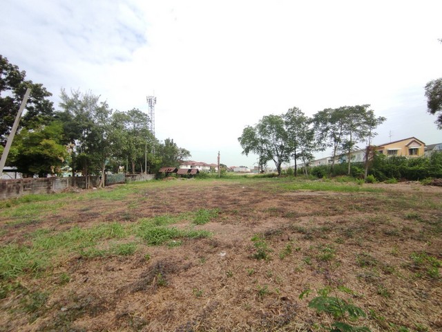 พื้นที่ดิน 	ที่ดิน 1 ไร่ 50 วา ลำลูกกาคลอง 2 คูคต ปทุมธานี สภาพแวดล้อมดี ที่ดินที่ดินลำลูกกา ทำเลศักยภาพ เหมาะสร้างบ้าน ใกล้ BTS คูคต