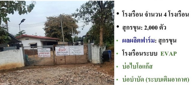 ขายฟาร์มหมู10ไร่กว่าสีคิ้วโคราช ขายฟาร์มหมูในประเทศไทย