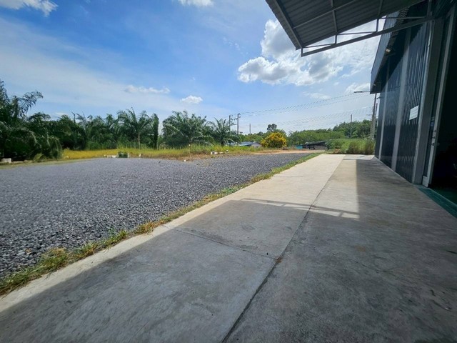 ายที่ดินโกดังผังสีม่วงศรีราชาชลบุรี ขายที่ดินโกดังราคาถูก ผังม่วงลาย เนื้อที่ 2-2-51ไร่