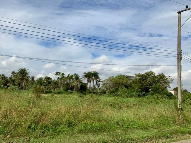 ที่ดินทำเลทอง #ตรงข้ามกาดฝรั่ง #แม่ริม ขายยกแปลงเพียง 13,500 บาท/ตรว. 6-3-14 ตรว. #โอกาสดีสำหรับนักลงทุน และผู้พัฒนาโครงการ! บรรยากาศสงบ