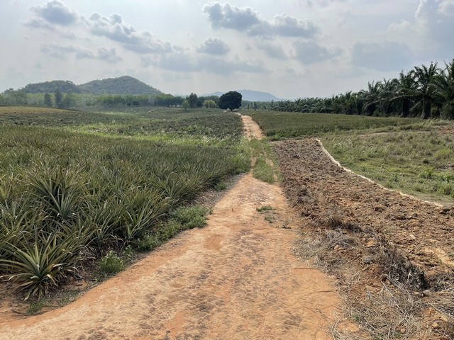 ขายที่ดิน 30 ไร่ 3 งาน 5.9 ตารางวา ต.อ่าวน้อย อ.เมือง จ.ประจวบคีรีขันธ์