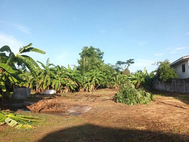 ที่ดิน - พื้นที่ 1 ไร่ 1 NGAN 70 SQ.WA 6270000 BAHT. ใกล้ อำเภอสูงเนิน ราคางาม ใกล้ตัวเมืองสูงเนิน