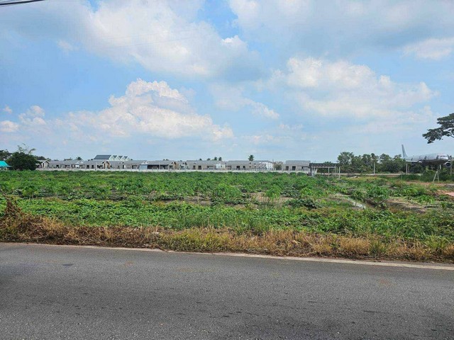 ขายที่เปล่าติดถนนหลักห้า อำเภอดำเนินสะดวกราชบุรี ต.ศรีสุราษฎร์ อ.ดำเนินสะดวก จ.ราชบุรี